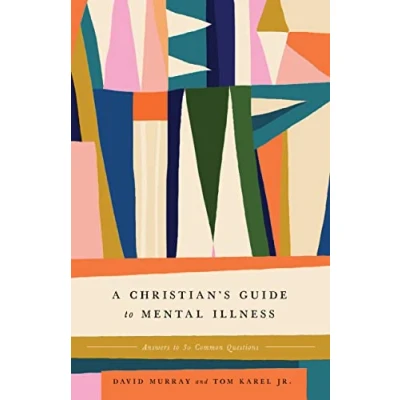 Afbeelding van A Christian&#039;s Guide to Mental Illness