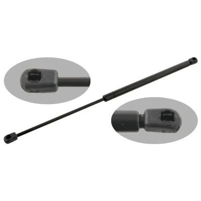 Afbeelding van Febi Bilstein Gasveer 31029