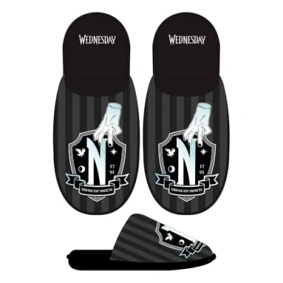 Afbeelding van Slippers Voor in Huis Wednesday Zwart Schoenmaat 40 41