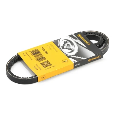Afbeelding van V riem CONTINENTAL CTAM 11,5X755Ld