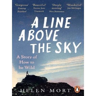 Afbeelding van A Line Above the Sky