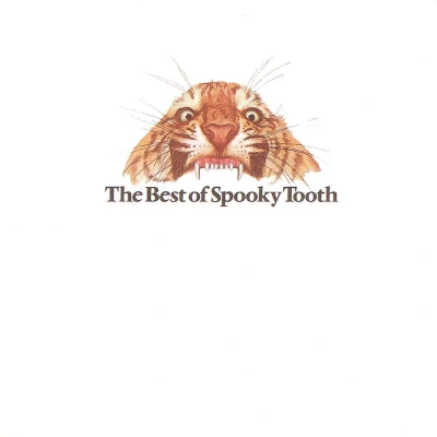 Afbeelding van Spooky Tooth The Best Of (CD)