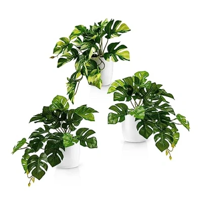 Afbeelding van PASCH® Monstera Set van 3 kunstplanten (20 cm) in witte keramische potten: zoals echte kunstmonstera planten Kunstplant hangend