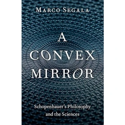 Afbeelding van A Convex Mirror