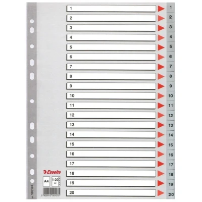 Image de Esselte 100107 intercalaires en plastique A4 avec 20 onglets (11 trous) gris