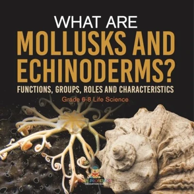 Afbeelding van What are Mollusks and Echinoderms? Functions, Groups, Roles Characteristics Grade 6 8 Life Science