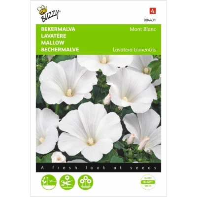 Afbeelding van Lavatera, Bekermalva Mont Blanc