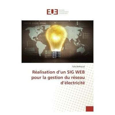 Image de Realisation d&#039;un SIG WeB pour la gestion du reseau d&#039;electricite