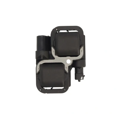 Afbeelding van Bobine MAGNETI MARELLI 060717163012