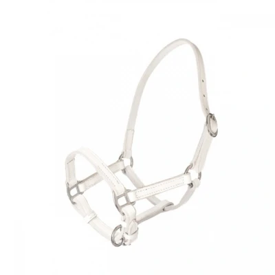 Image de HB Licol pour Poulain Cuir Blanc Miniature