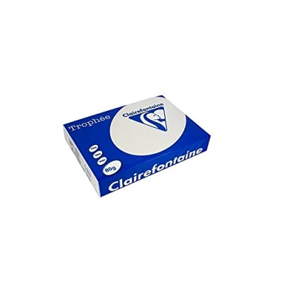 Afbeelding van Clairefontaine Trophée gekleurd papier, A4, 80 g, 500 vel, lichtgrijs 5 stuks