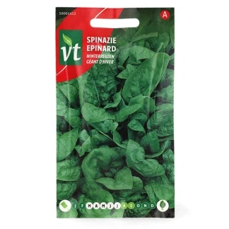 Afbeelding van Spinazie Winterreuzen De winter door