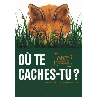 Image de Où te caches tu?