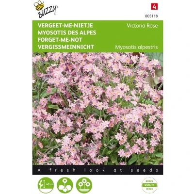 Afbeelding van Myosotis alpestris Victoria Rose Buzzy
