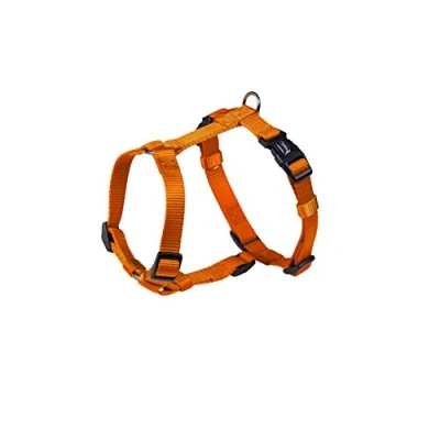 Afbeelding van Nobby tuig classic oranje 70 90 cm