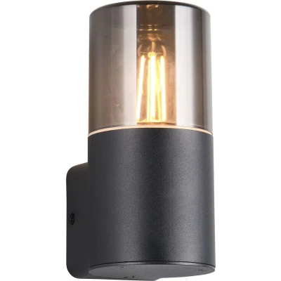 Afbeelding van TRIO HOOSIC Wandlamp Zwart mat excl. 1x E27 4W Buitenverlichting IP44