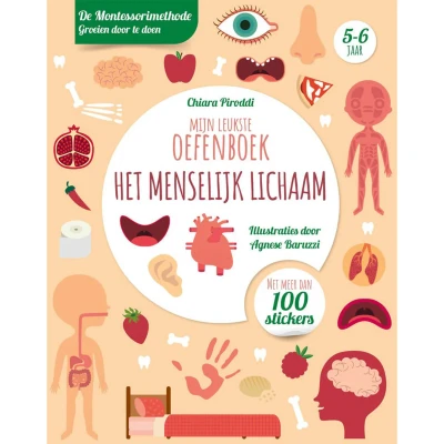 Afbeelding van Uitgeverij rebo mijn leukste oefenboek het menselijk lichaam