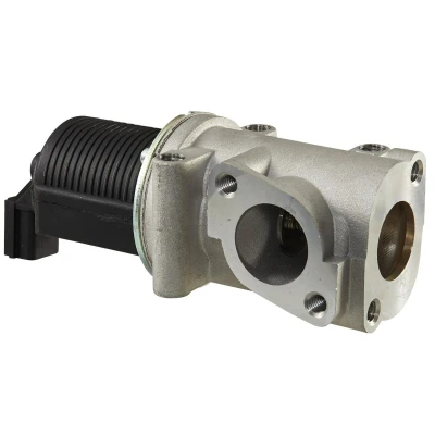 Afbeelding van Hella EGR klep 6NU 010 171 331