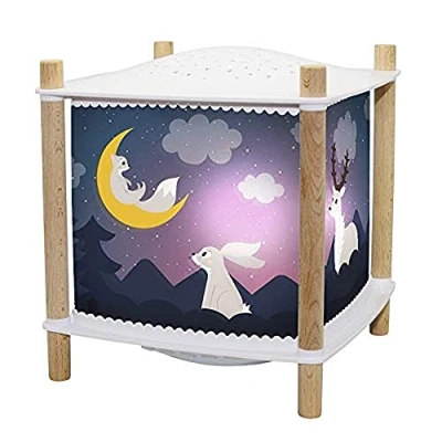 Afbeelding van Trousselier Bos nachtlampje voor baby&#039;s met muziek en licht kind ReVOLUTION 2.0 lantaarn Cadeau geboorte oplaadbaar USB Sterrenhemel Projector Huildetector