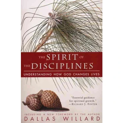 Afbeelding van The Spirit Of Disciplines