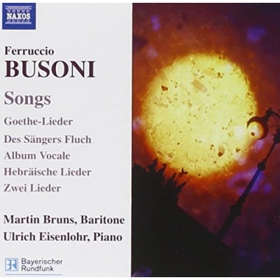 Afbeelding van Martin Bruns, Ulrich Eisenlohr Busoni: Songs (CD)