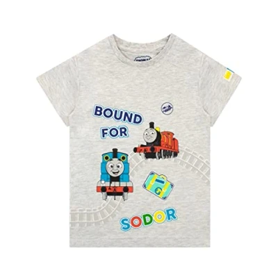 Afbeelding van Thomas &amp; Friends en zijn vrienden T shirt voor jongens, grijs.