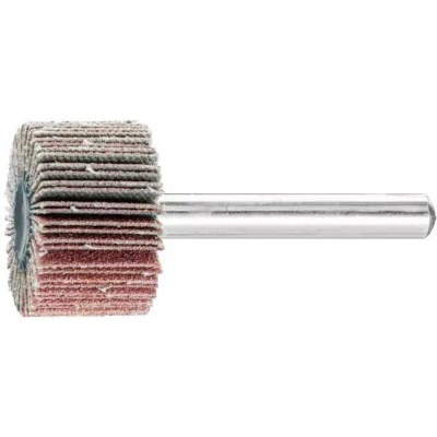Afbeelding van PFERD 44406126 Lamellenschijf Diameter 25 mm 10 stuk(s)