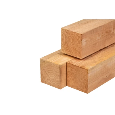 Afbeelding van Lariks/douglas Palen Onbehandeld (Vers Hout) 20x20x300 cm
