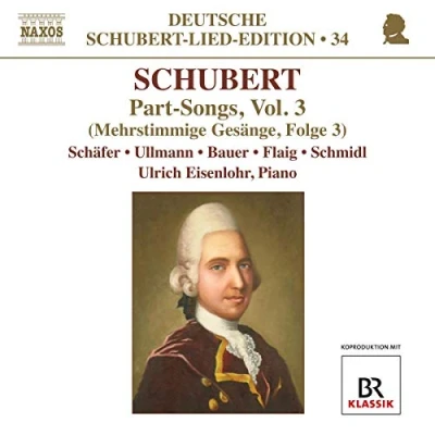 Afbeelding van Various Artists Part Songs Volume 3 (CD)