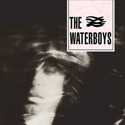 Afbeelding van The Waterboys