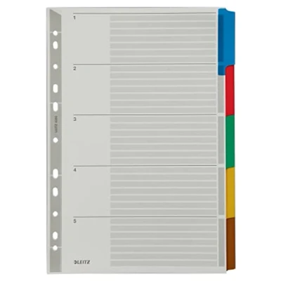 Afbeelding van Leitz Register A4, 5 blanco, gekleurde tabbladen en geperforeerde band, versterkt met mylar, robuust karton, grijs, 43200000