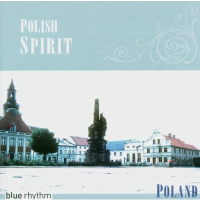 Afbeelding van Various Artists Polish Spirit (CD)