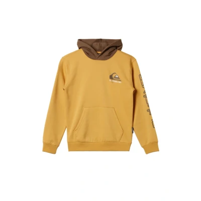 Afbeelding van Quiksilver OMNI LOGO Youth Hoodie voor kinderen, Maat: 140, Yjg