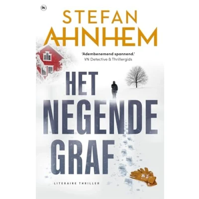 Afbeelding van Fabian Risk 2 Het negende graf