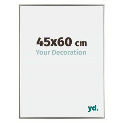 Afbeelding van Fotolijst 45x60 cm Kunststof Champagne Evry