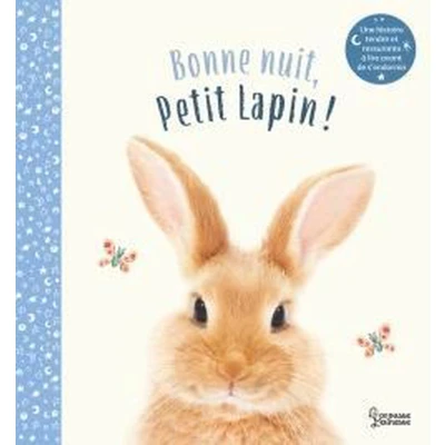 Afbeelding van BONNE NUIT PETIT LAPIN