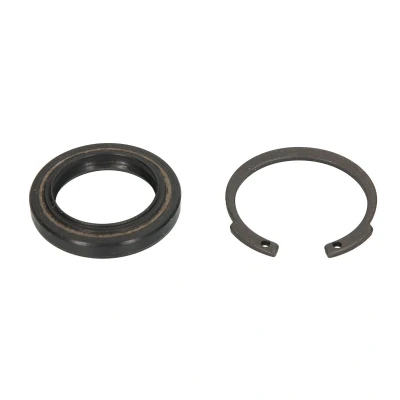 Afbeelding van Febi Bilstein Stuurhuis pakking (Servo) 44527