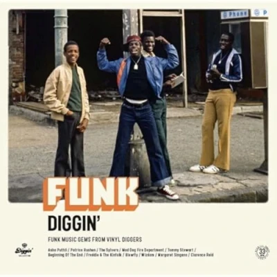 Afbeelding van V/A Funk Diggin&#039; (LP)