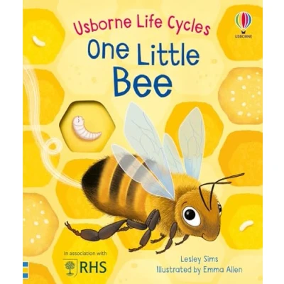 Afbeelding van Life Cycles One Little Bee