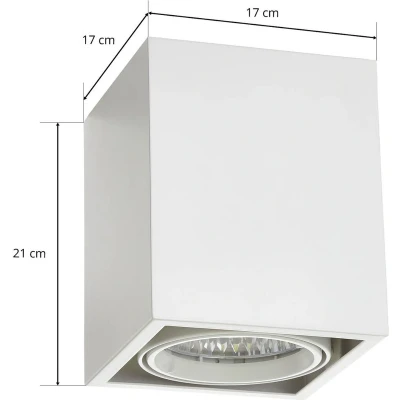 Afbeelding van Arcchio LED plafondlamp aluminium, polycarbonaat H: 21 cm wit