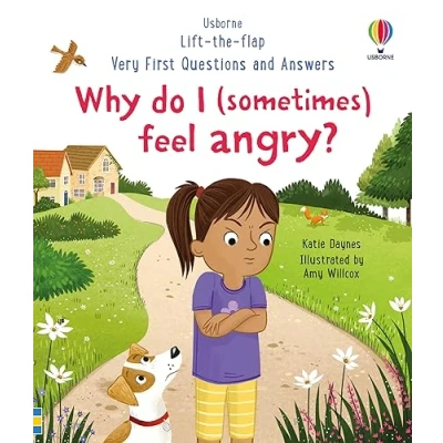 Afbeelding van Very First Questions and Answers Answers: Why do I (sometimes) feel angry?