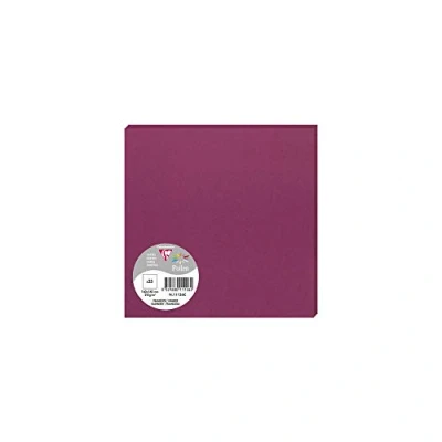 Afbeelding van POLLEN FRAMBOISE 25 CARTE 160X160
