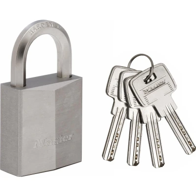 Afbeelding van MasterLock Hangslot 40mm zilver 6 kant beugel 23mm