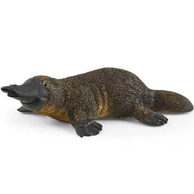 Afbeelding van Schleich wild life vogelbekdier 5,5 cm