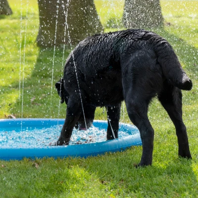 Afbeelding van Coolpets Splash Pool Sproeier ø 100 cm
