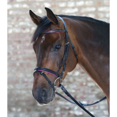 Afbeelding van Star Trenshoofdstel Diamond Engels Gecombineerd Fuchsia Full