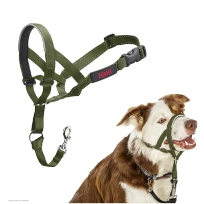 Afbeelding van Halti hondenhoofdband bosgroen maat 2 Beagle, Border Collie, Poedelhond