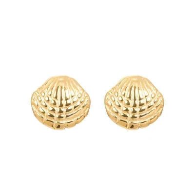 Afbeelding van Ear studs shell iXXXi Oorbellen Gold