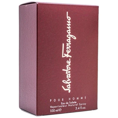 Afbeelding van Salvatore Ferragamo Homme Eau de Toilette 100 ml