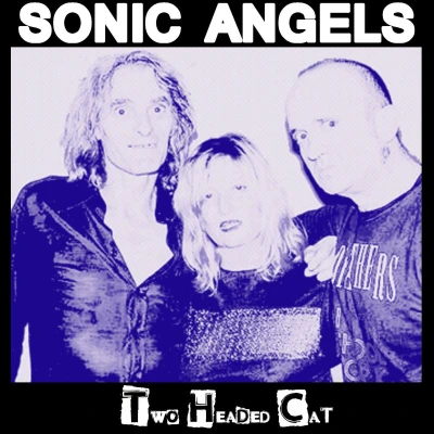 Afbeelding van Sonic Angels Two Headed Cat (LP)